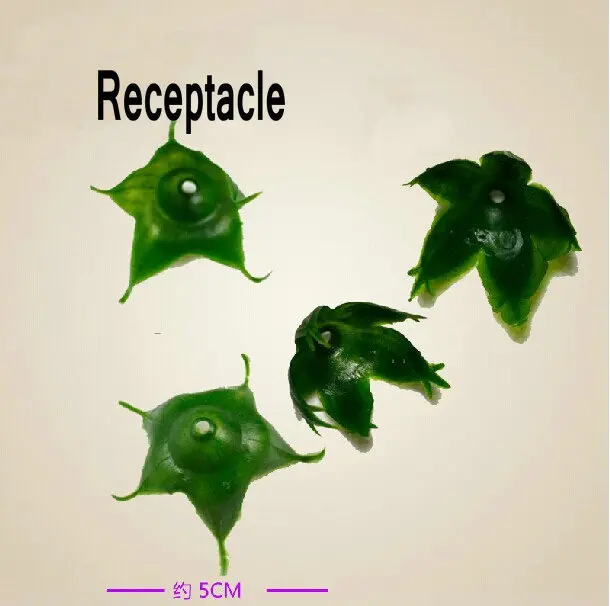 Розетка с листьями розы большой размер 5 см зубчатая шипа пентагональный