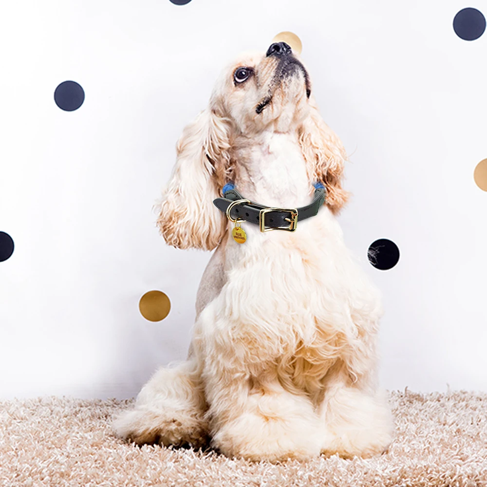 Индивидуальный ошейник для собак персонализированный нейлоновый щенков ID тег