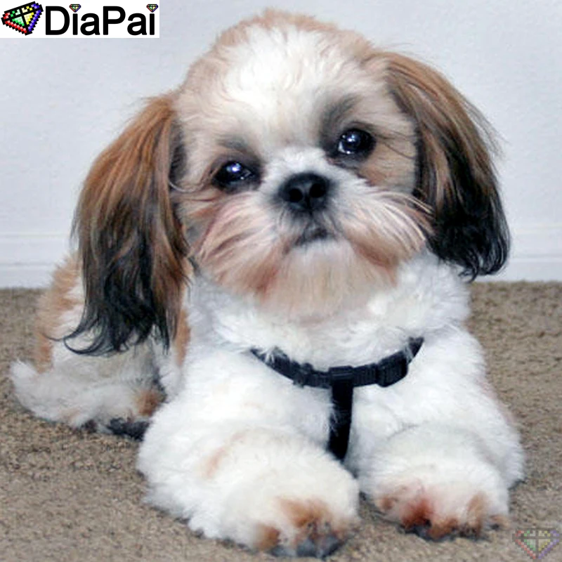 

DiaPai Diamond Painting 5D DIY 100% Full Square/Round Drill "Animal dog" Diamond Embroidery Cross Stitch 3D Decor A18524