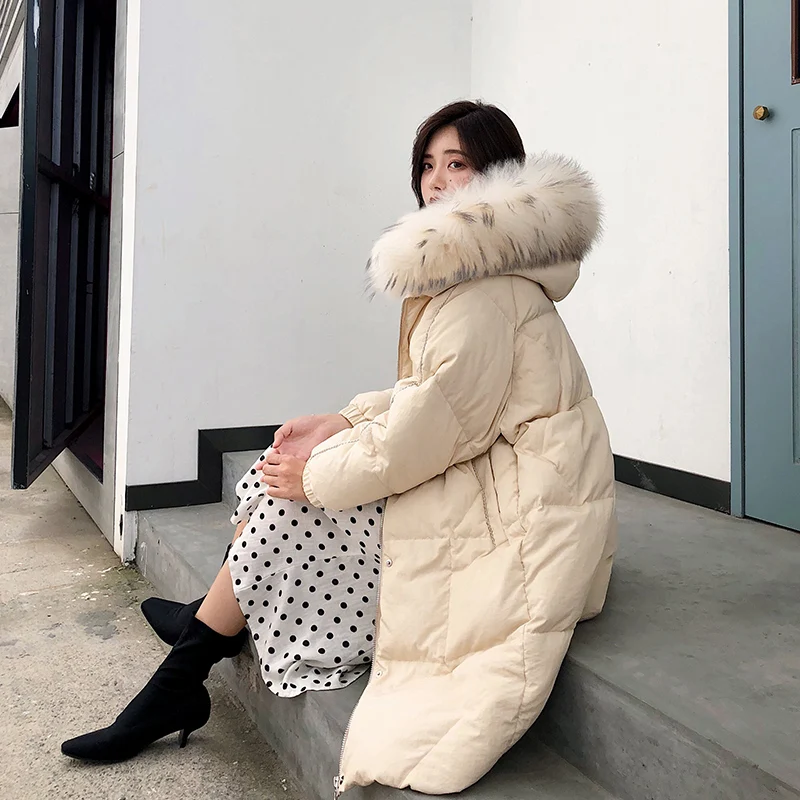 2018 Новая зимняя Женская пуховая куртка длинный енот меховой воротник с капюшоном