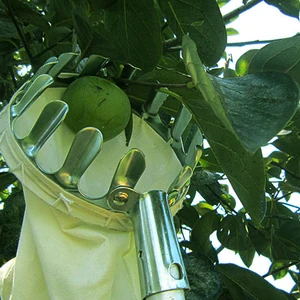 Высококачественный металлический инструмент для сбора фруктов, удобный садоводческий инструмент для сбора фруктов яблоки