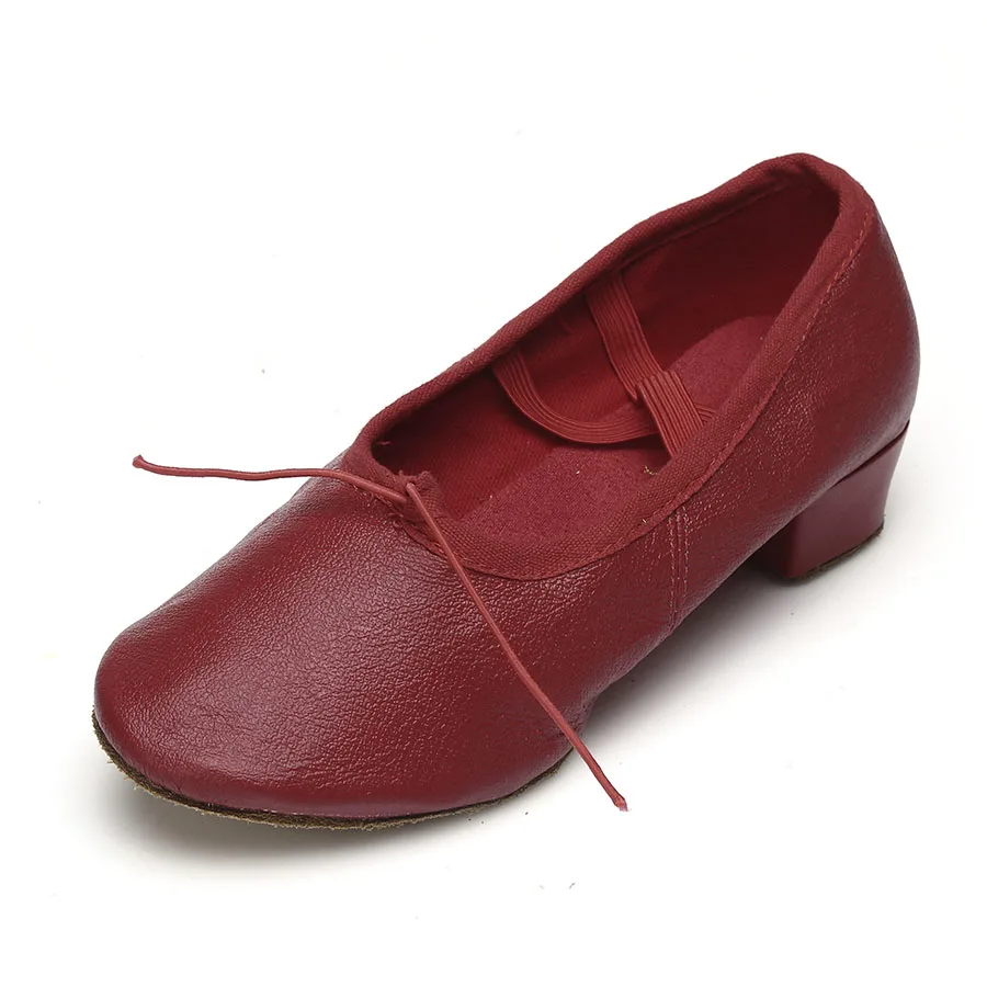 Brand Women Latin Dance Shoes New PU/Canvas Ballet Dance Shoes For Ladies/Girls/Ballroom Dance Shoes Wholesales Dorpshopping