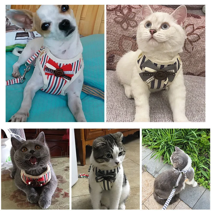 

Pet Products