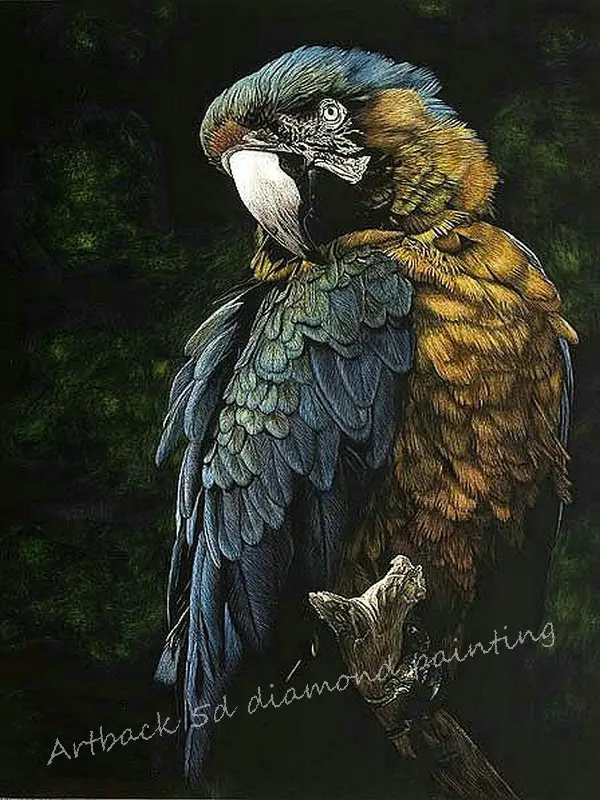 Parrot 5d diy diamond painting icon full square / round type drill pencil drawing animal 3d stick embroidered wall sticker | Дом и сад