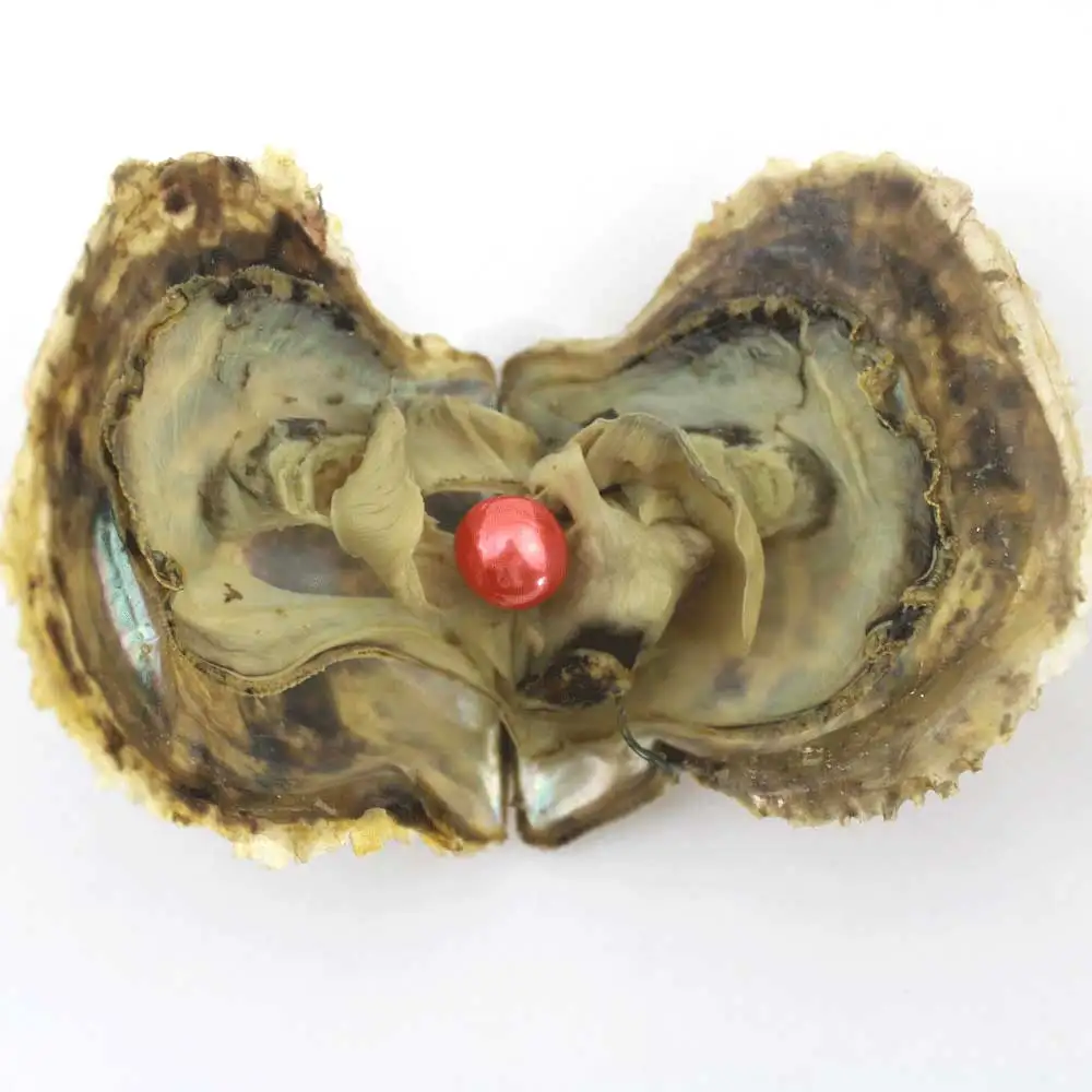 H5 Жемчуг Эдисона Oyster 9-12 мм натуральный жемчуг в соленой воде свободные большие бусины украшения в вакуумной упаковке для подарка ювелирные изделия DIY EE2022 - Цвет: H5