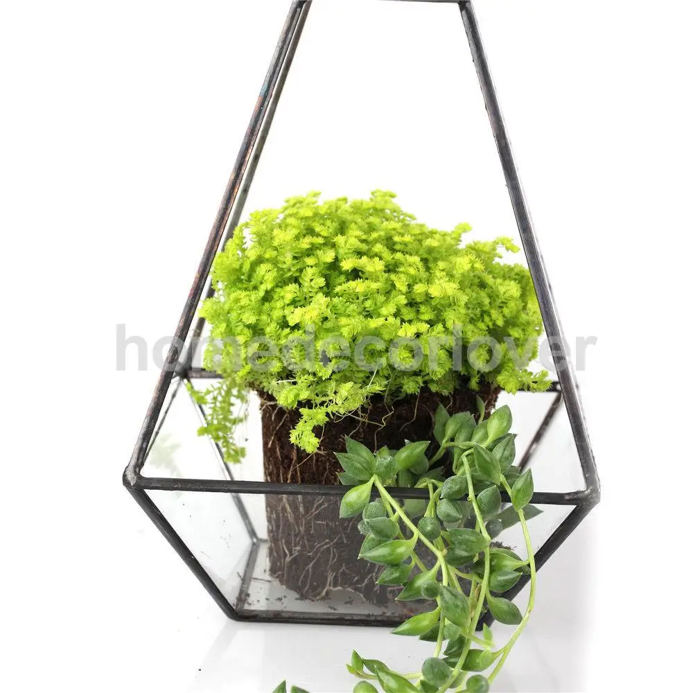 

2pcs Glass Geometric Terrarium Box Tabletop Succulent Planter Copper