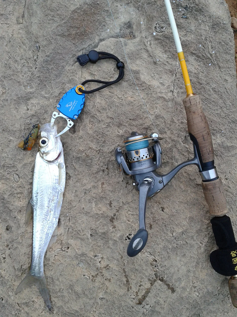 ALMIGHTY EAGLE mini fish grip алюминиевый сплав портативный рыболовный зажим для губ обновленная версия управления ловлей сильный