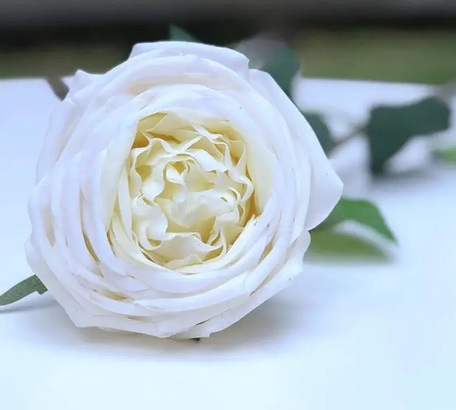 white rose 12 шт.! Настоящий сенсорный войлочный увлажняющий цветок розы 75 см длинный ствол одна голова свадебный декоративный искусственный Голубь из латекса Роза торговля - Цвет: white rose