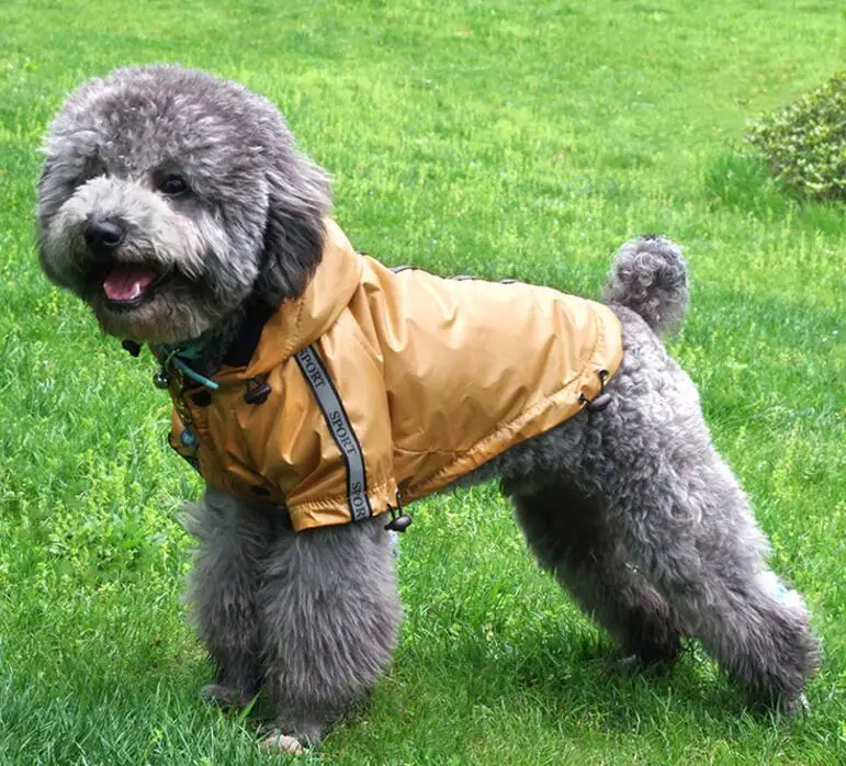 Лидер продаж дождевик для домашних животных собаки на осень и зиму с теплым