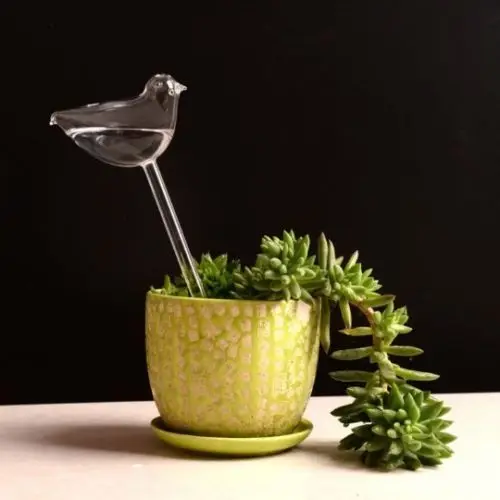 Прозрачная стеклянная Милая птица улитка роза звездное растение кормушка для