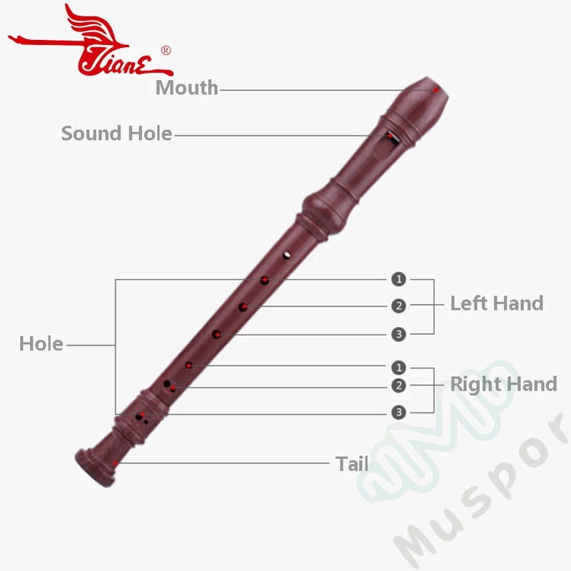 Лебедь Германия тип 8 отверстий сопрано диктофон флейта Инструменты по дереву