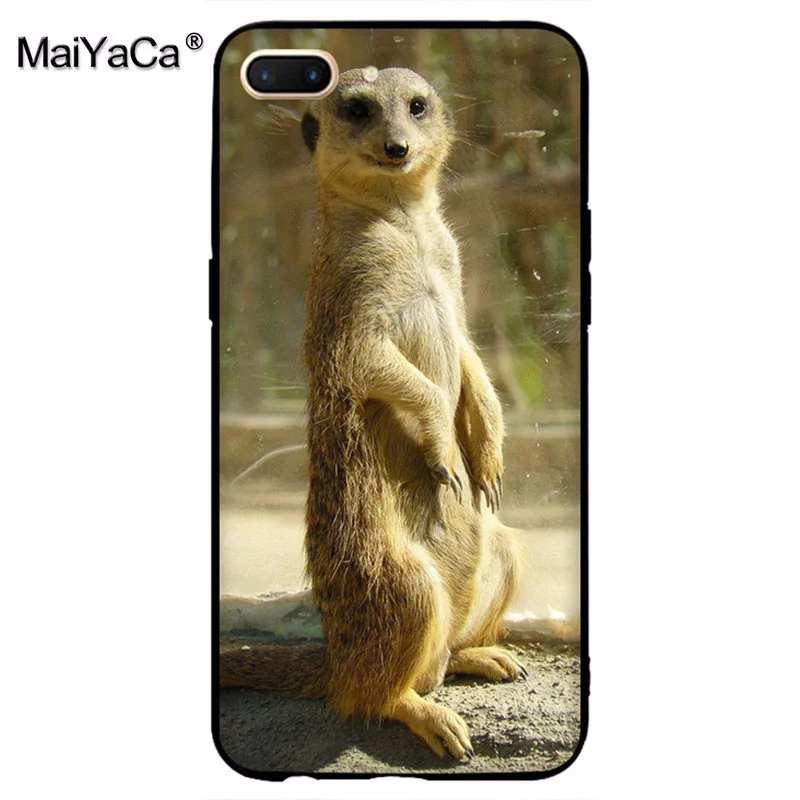 MaiYaCa animal mob of meerkats Diy защитный чехол для сотового телефона OPPO R9 R9S R11 PLUS casefor vivo X9 X20 |