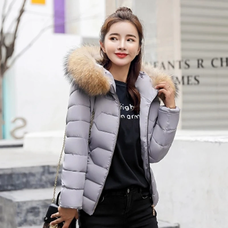 Женская короткая зимняя куртка с капюшоном длинным рукавом|Женские парки| |