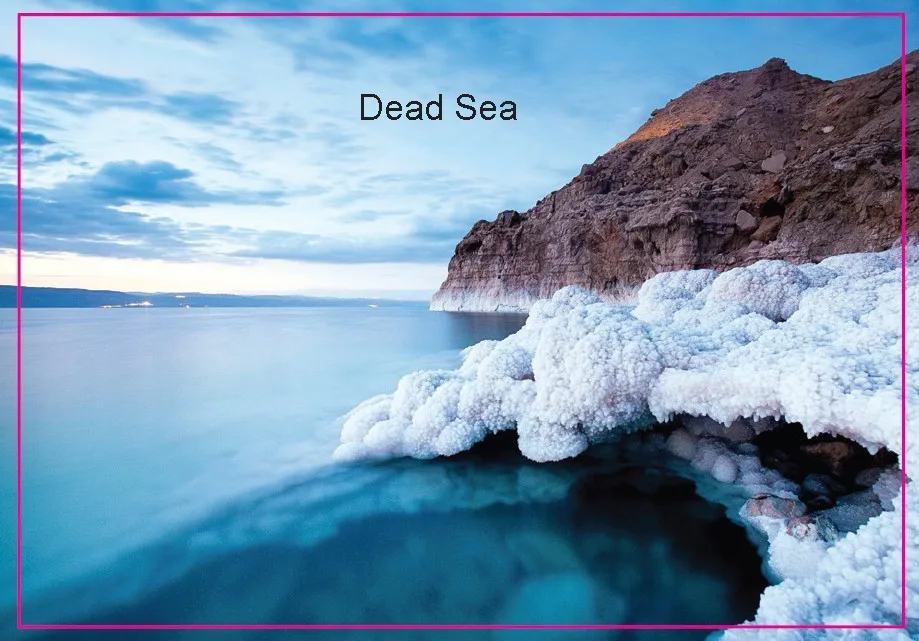 

Rectangle Rigid Magnets , The Dead Sea Fun Vacation Rectangle 3"*2" Metal Fridge Magnet 5405