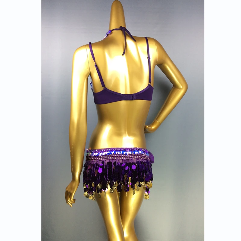 2020 Sexy Samba Belly Dance Costume for Women Hand Beaded sequins purple Color Bra and Scarf Necklace 3 pieces
