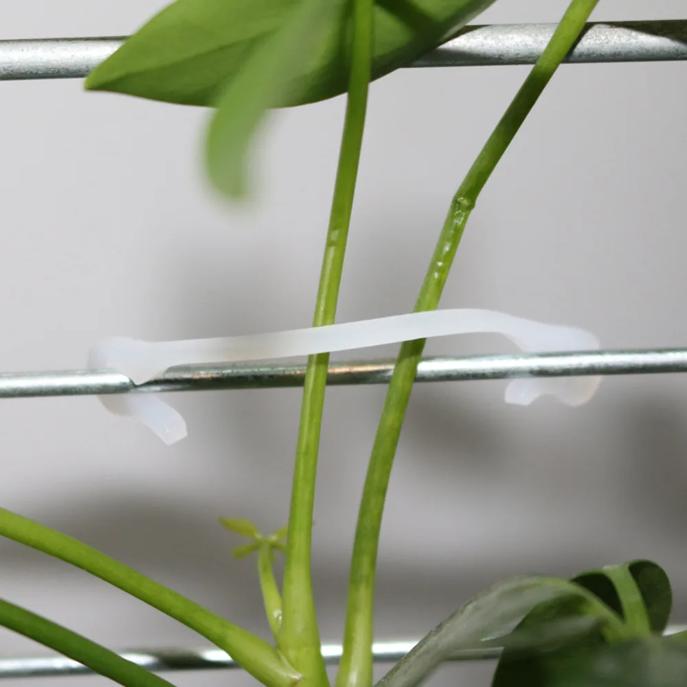 Пластиковые лозы для растений фиксированная Пряжка крепежный крючок сельского