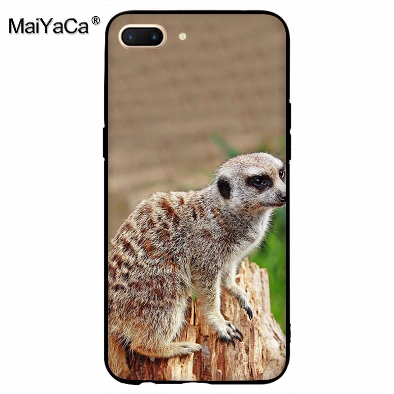 MaiYaCa animal mob of meerkats Diy защитный чехол для сотового телефона OPPO R9 R9S R11 PLUS casefor vivo X9 X20 |