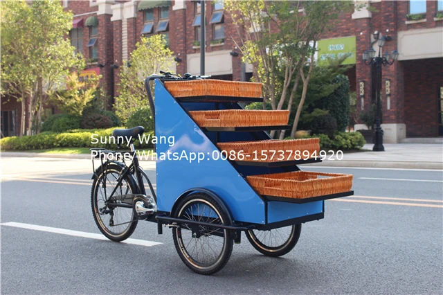 Electric snacks cart retail bike sale of fruits and vegetables electric three wheel tricycle food fruit truck | Бытовая техника