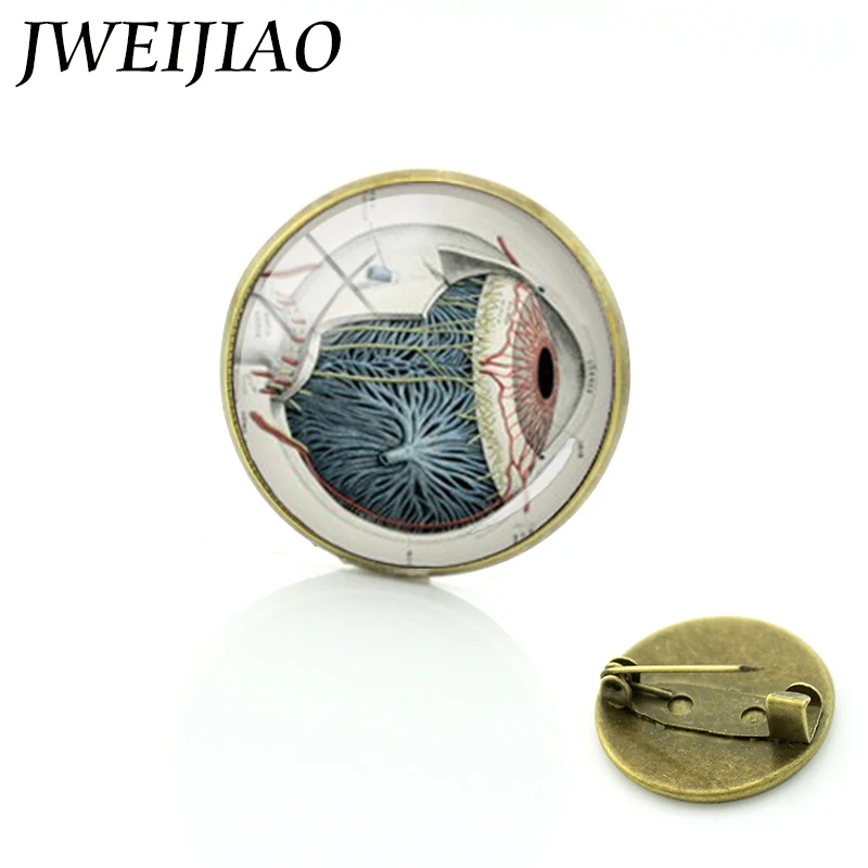 

JWEIJIAO Brooches Anatomical Eye Brooch Accessories Vintage National Symbolic Badges Anatomy Art Picture Human Body Pin C 807
