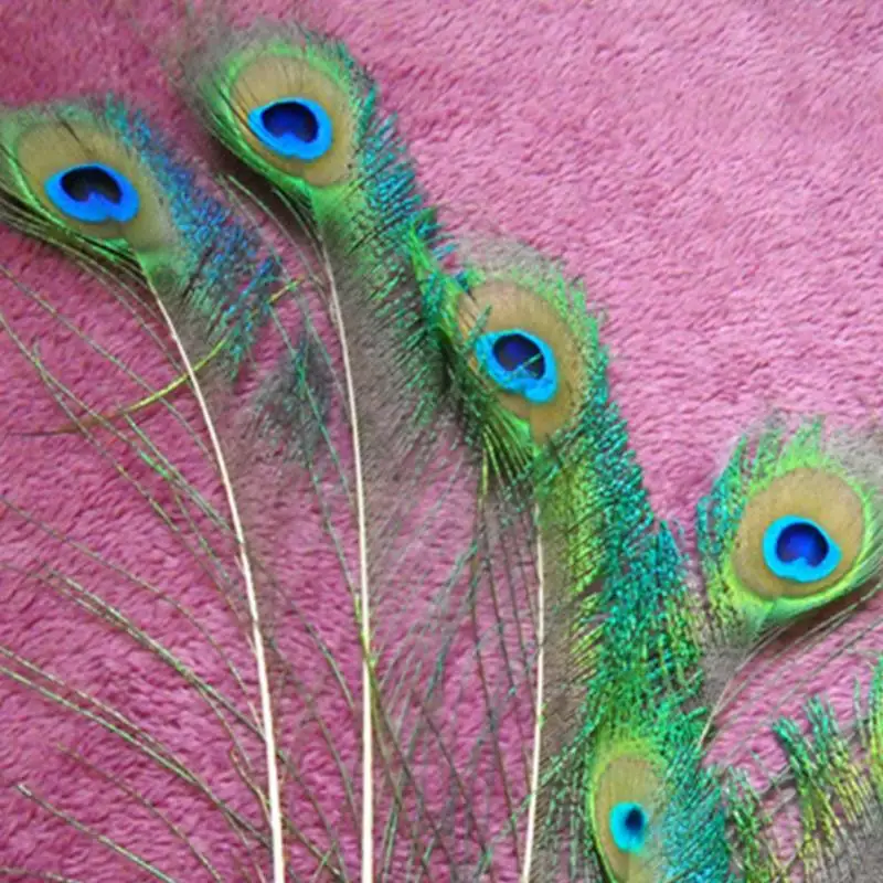 10 шт./компл. красивые натуральные перья павлина Глаза для украшения одежды сделай