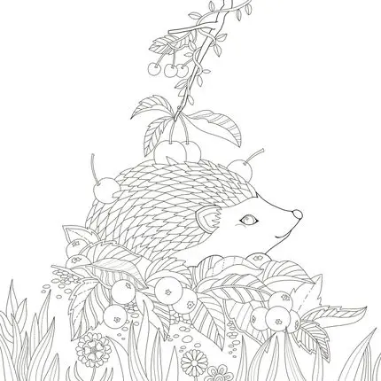 Книга раскраска Elven Forest для взрослых книга секретный сад стильная снятия стресса