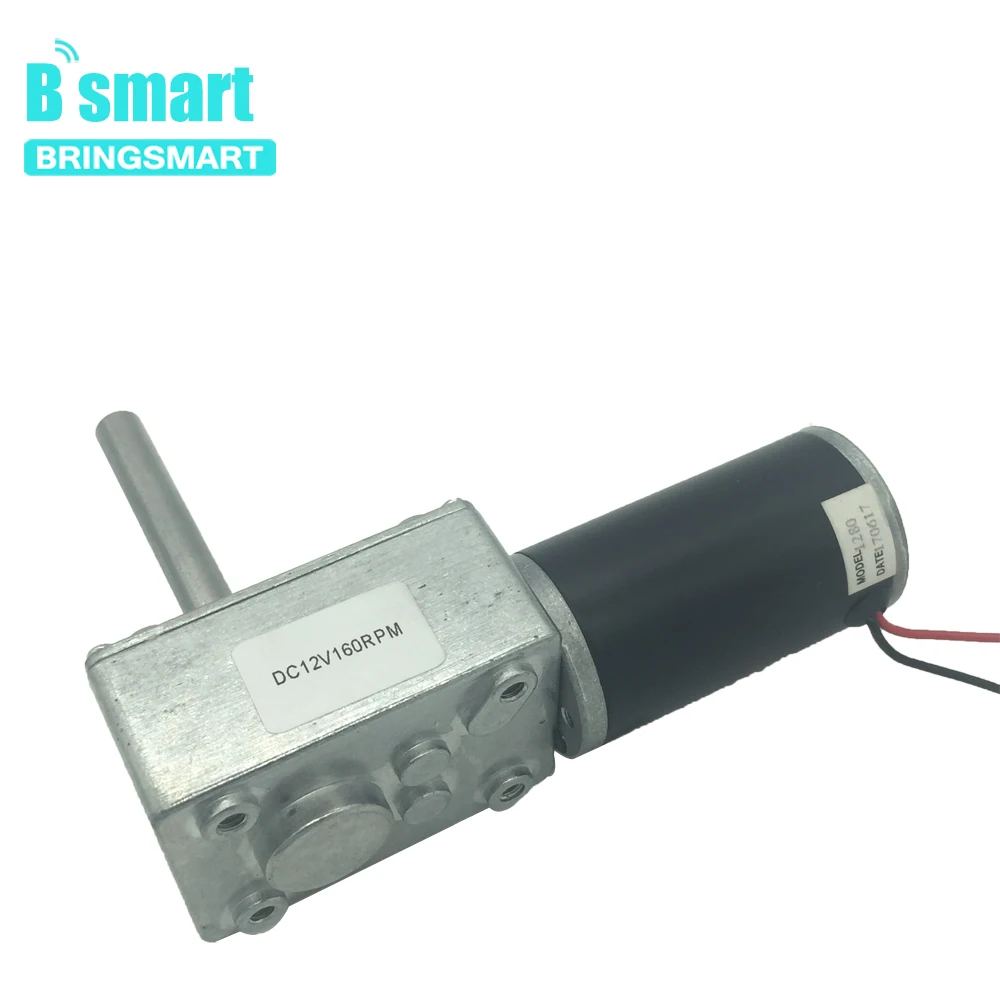DC 24V PMDC Червячные редукторные двигатели с высоким крутящим моментом 12V Вольт двигатель постоянного тока обратный редукционный двигатель самоблокирующийся удлинитель 5840-31ZY