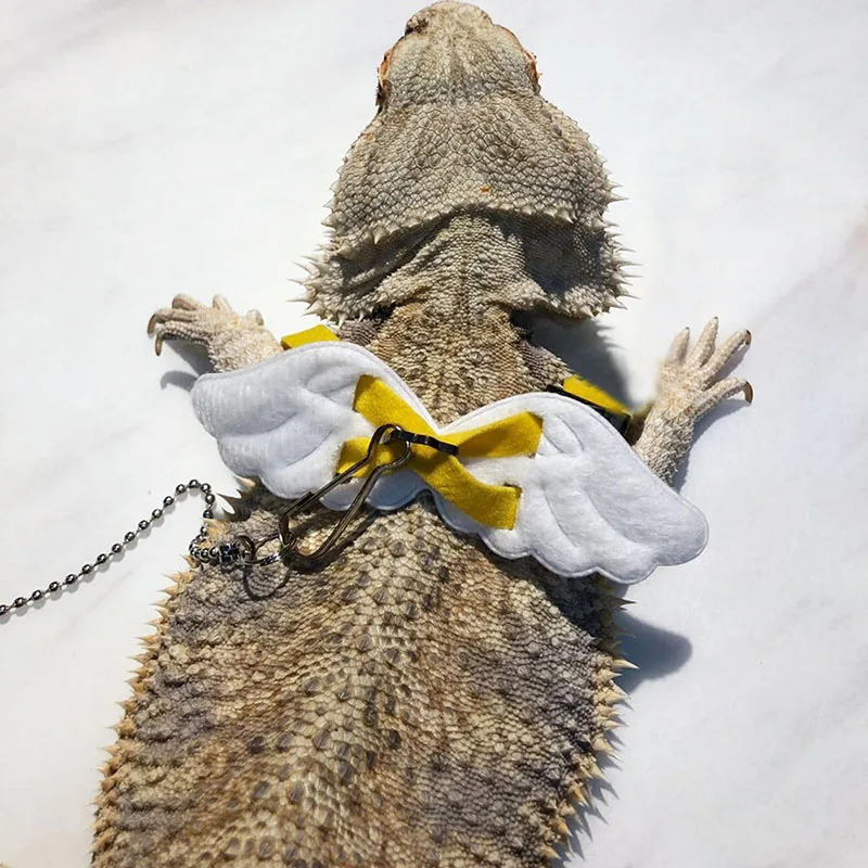 Шлейка для маленьких домашних животных и крылья Ангела поводка бородатого