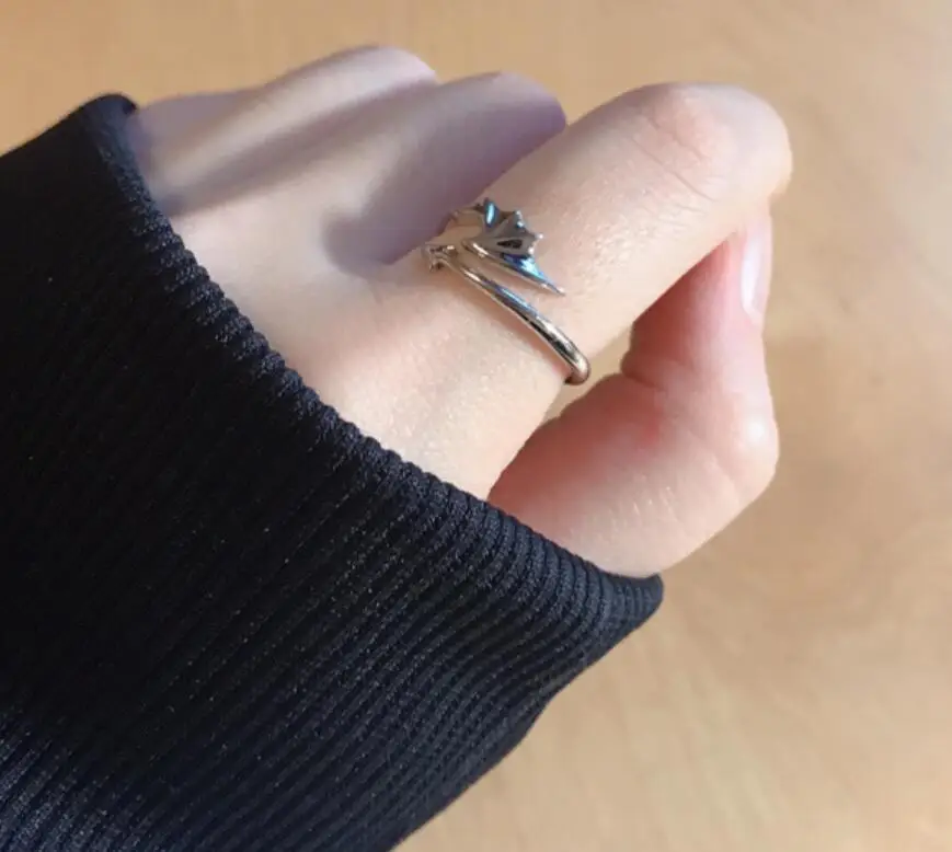 Personality Simple Men's Stainless Steel Devil's Wing Ring Fashion Couple Titanium Adjustable Jewelry | Украшения и