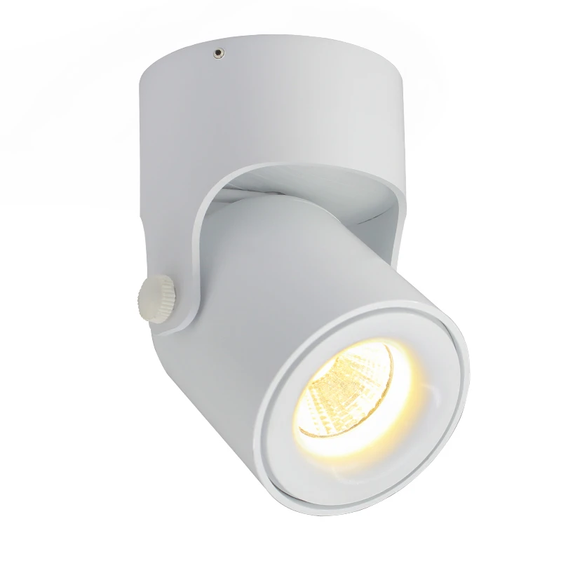 85 265Vac вход 3 Вт/5 Вт LED поверхностного монтажа Потолочный светильник 180 градусов