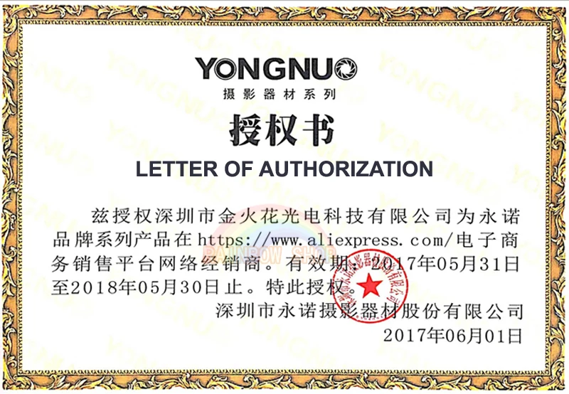 YONGNUO YN300 светодиодный светильник 5500K 300 светодиодный светильник на камеру светильник ing для свадьбы YN 300 светодиодный панельный светильник для DSLR камеры