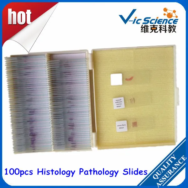

Hot Sale 100pcs Histology Pathology Slides