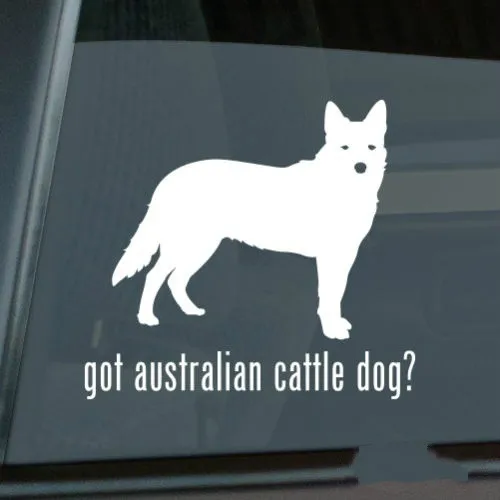 

Got Australian Cattle Dog Sticker Die Cut Vinyl - heeler window decal Size(inch): 6.00 x 5.43