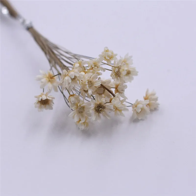 natural white 30 шт. милая маленькая Маргаритка Натуральные сушеные цветы декоративные изделия стеклянный глобус наполнитель для силиконовой формы ювелирных изделий diy - Цвет: natural white