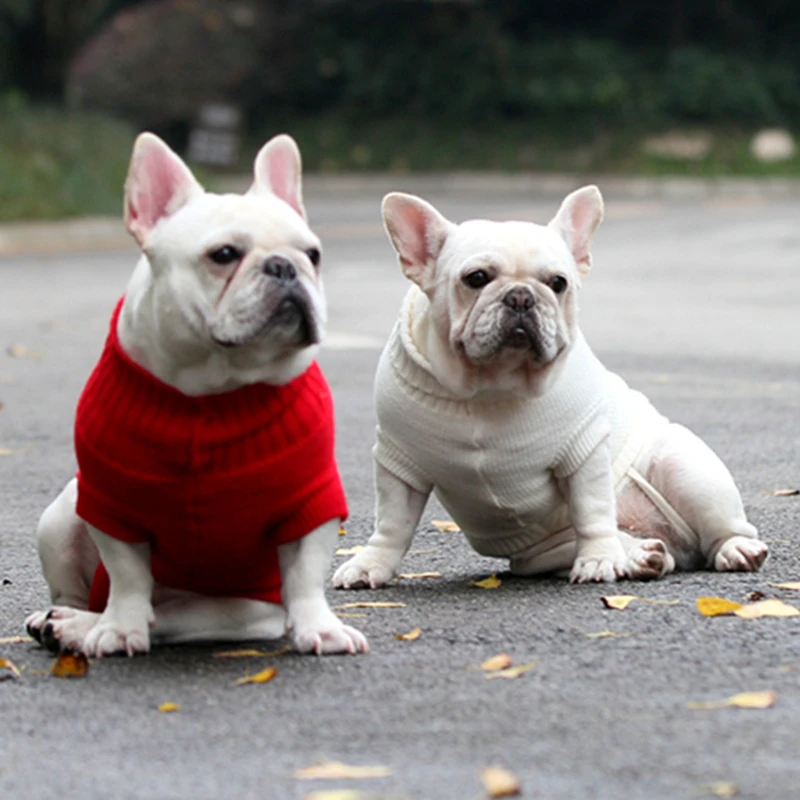 [MPK Store] SWA Pet Sweater for Cats and Dogs Dog in 7 Sizes 9 Colors French Bulldog | Дом и сад