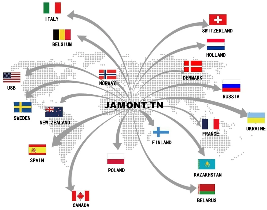 [JAMONT] бренд Повседневное детский Козырек Кепка для мальчиков, девочек берета детские бейсболки из промытого хлопка Джинсовая Верхняя одежда в ковбойском стиле кепки Gorras От 5 до 10 лет регулируемый