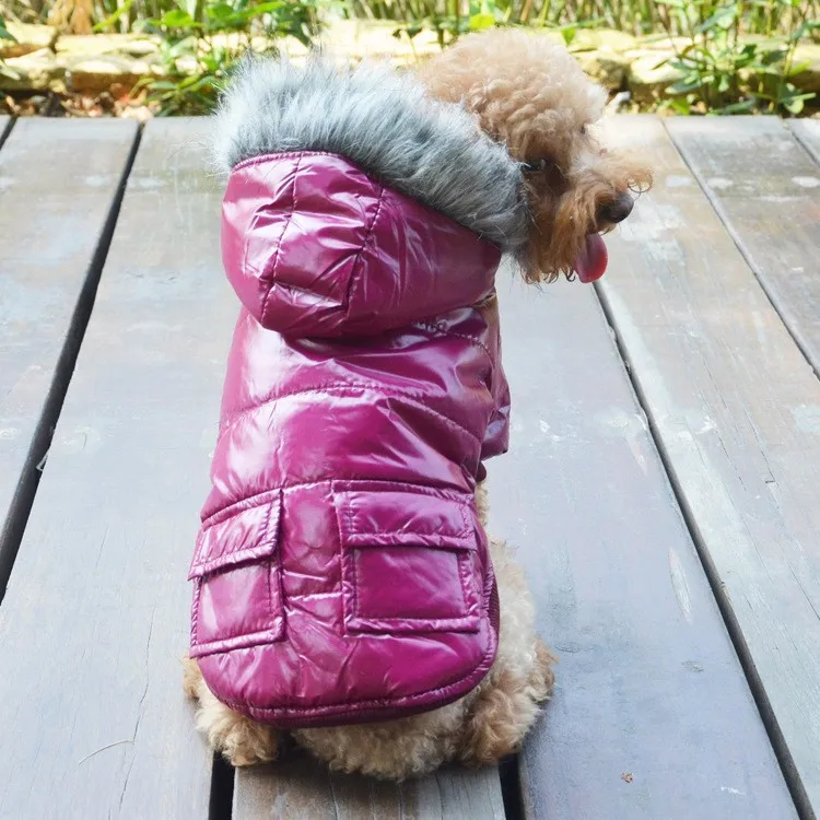 Куртка и пальто North Dog хлопковая зимняя толстовка с капюшоном для домашних