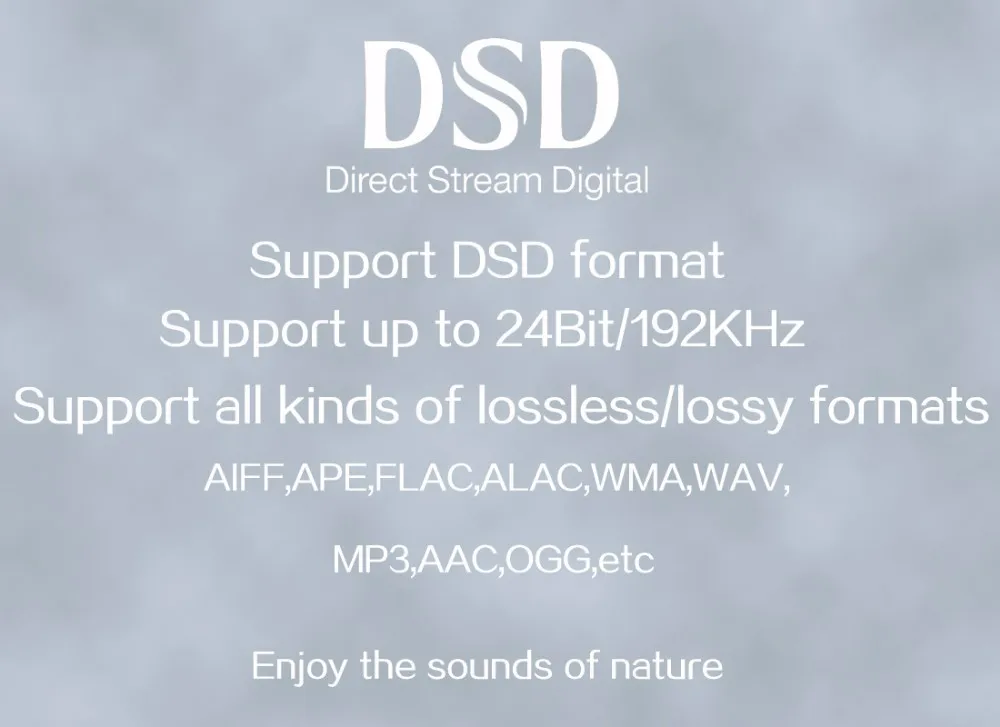 XDUOO X10 портативный музыкальный плеер с высоким разрешением без потерь DSD DAC DAP поддержка оптического выхода MP3+ Бесплатный кожаный чехол