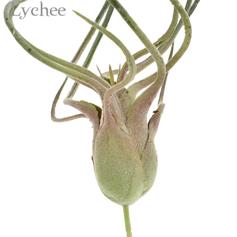 Lychee пластиковое искусственное воздушное растение Tillandsia Capitata декоративное