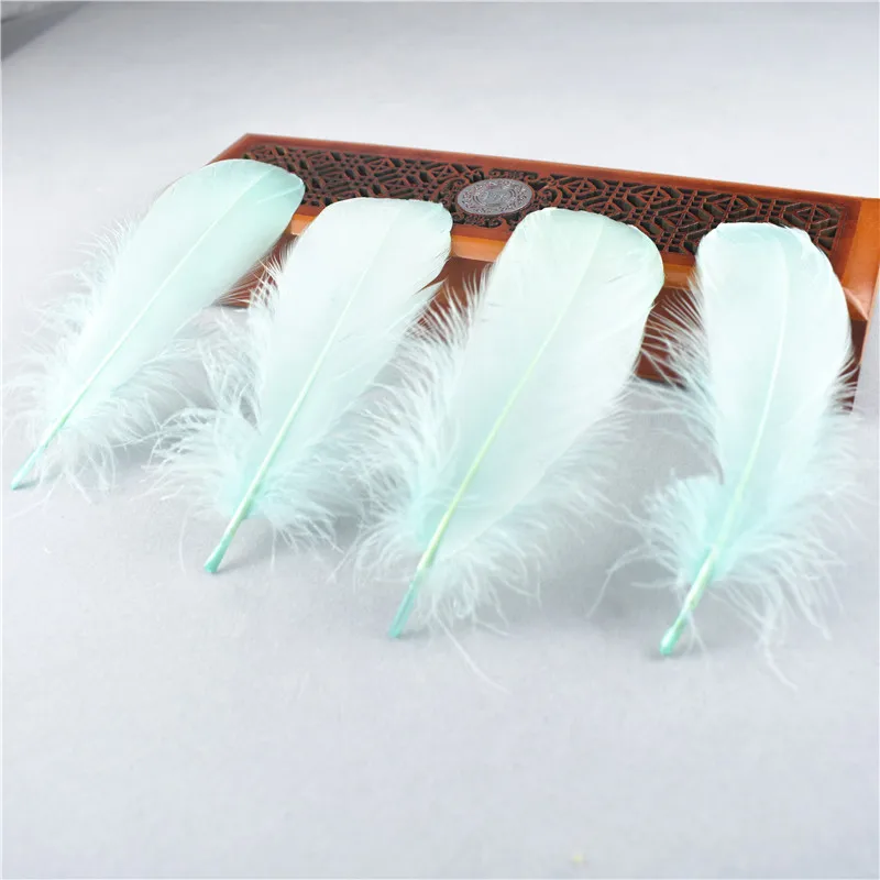 Mint Green Разноцветные 20 шт./партия качества натуральные гусиные перья декоративные Шлейфы для свадебного украшения перья для рукоделия - Цвет: Mint Green