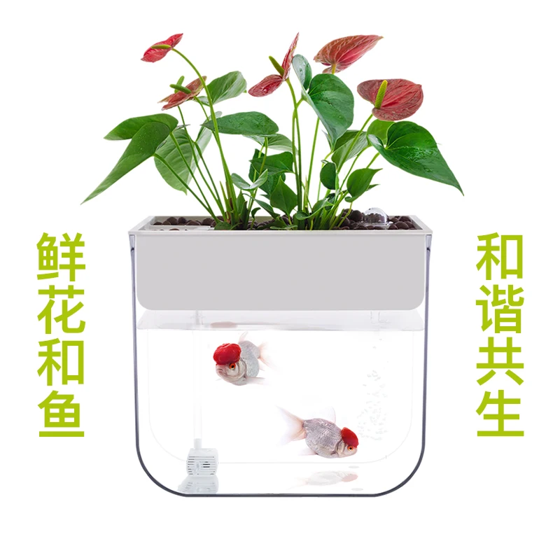 Novice ультра прозрачный пластиковый аквариум для рыб Aquaponic Betta миски Настольный