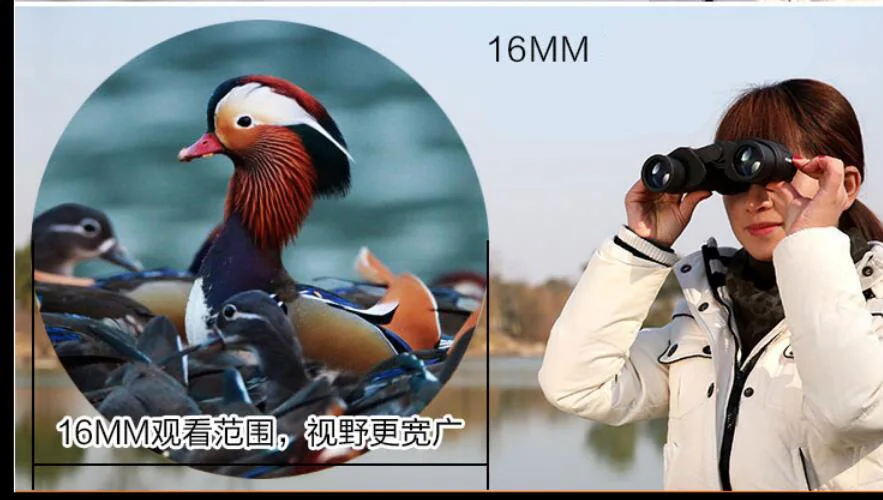 " экран HD 1080P видео DVR Запись 12X32 Цифровой телескоп бинокль камера