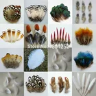 20 шт., 15 видов перьев фазана, 4-9 см