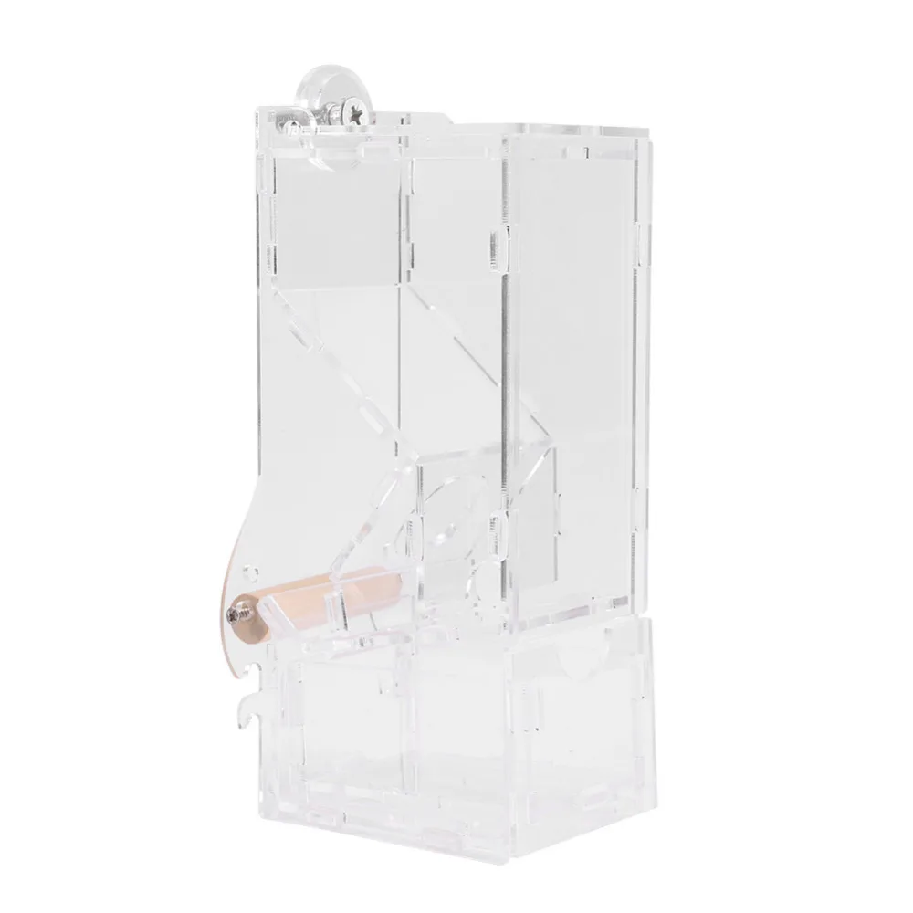 Автоматическая кормушка для птиц Электронная контейнер пищевых продуктов