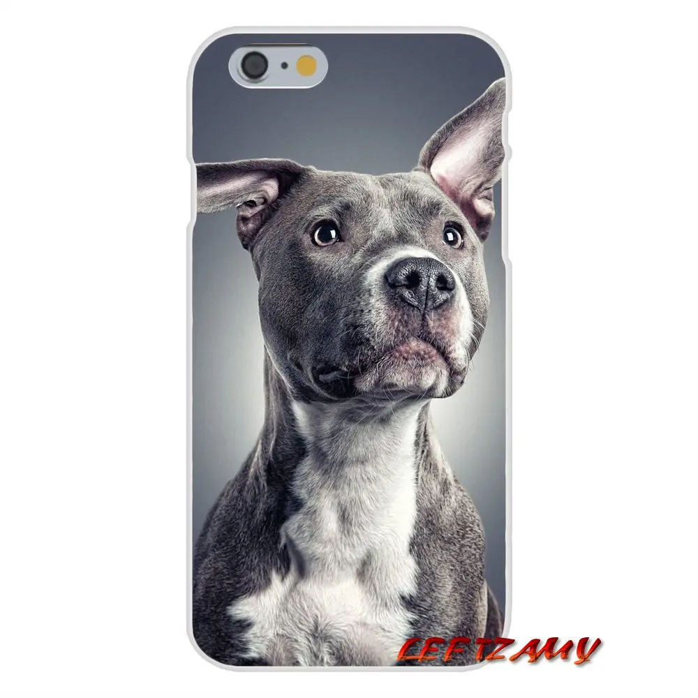 Аксессуары для телефона Чехлы iPhone X 4 4S 5 5S 5C SE 6 6S 7 8 Plus синий нос Pitbull Pomeranian DOG |