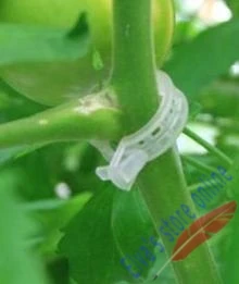 

200pcs plant clip plastic tomato clip plant fastener plant vines Tomato Flower Vegetable Farming Clip