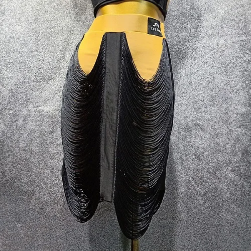 Skirts Платье для латинских танцев, женское, черное, сексуальное, с открытой спиной, с кисточками, топы для женщин, Румба, ча, ча, Самба, танго, костюмы для сцены, DN3393 - Цвет: Skirts