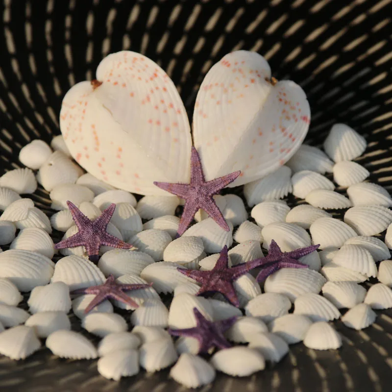 Бесплатная доставка (100 шт./лот) 1-2 см 12 видов цветов Mini starfish микро вид сделай сам