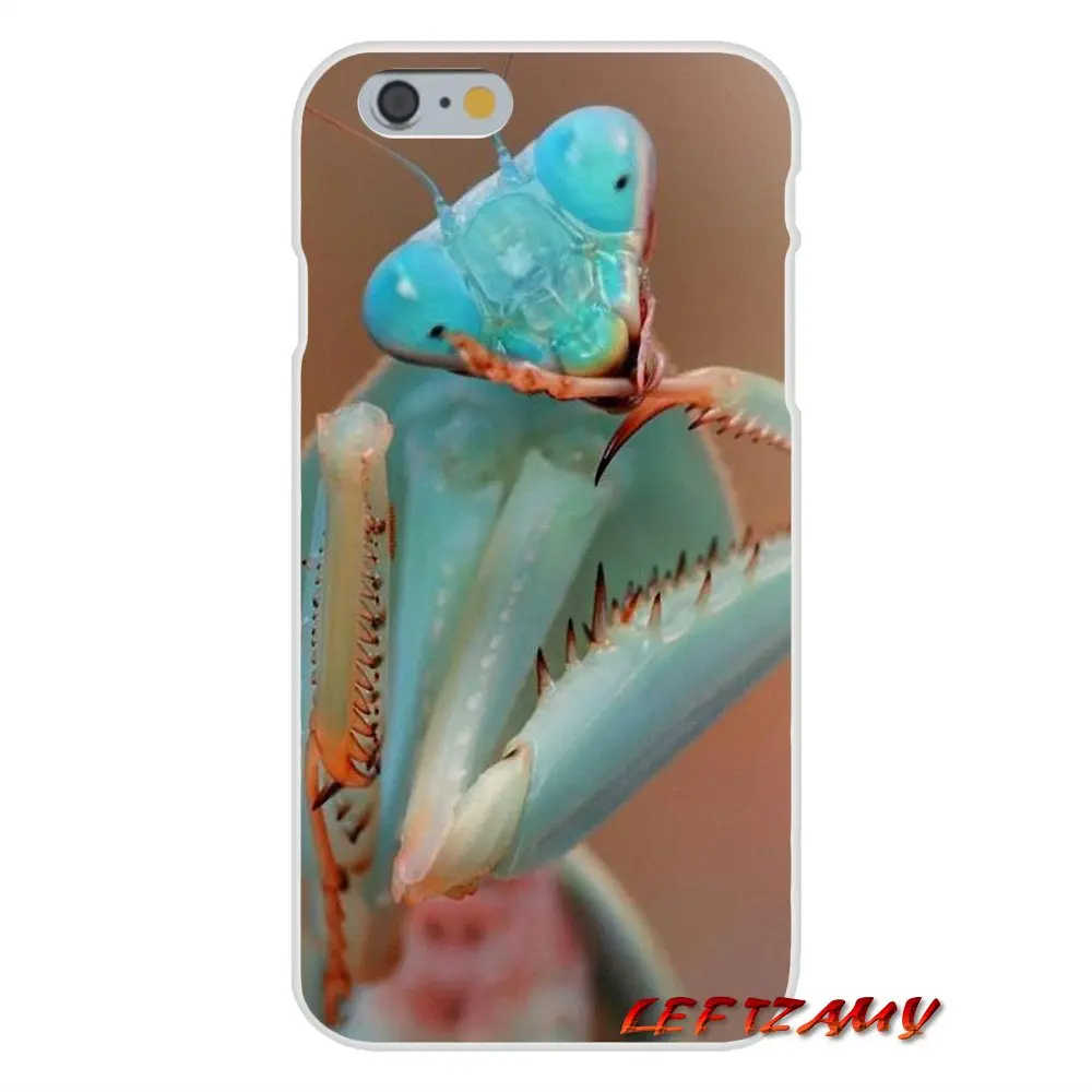 For Samsung Galaxy A3 A5 A7 J1 J2 J3 J5 J7 2015 2016 2017 Cute Animals Funny Act Accessories Phone Shell Covers | Мобильные телефоны