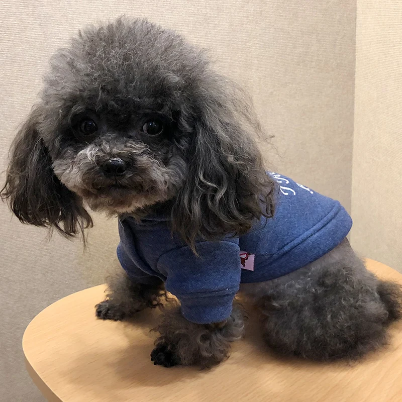 2018 Новое поступление petcircle Одежда для собак любимая одежда samll щенков весна-осень