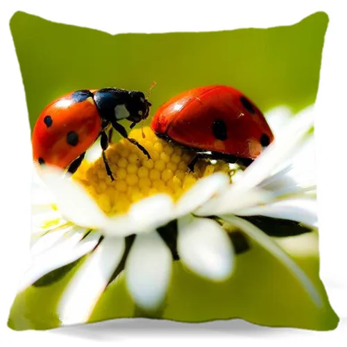 

Ladybug and Chrysanthemum Square 16 18 19 inches wholesale classic cotton decorative cushion covers for sofa car office bedding